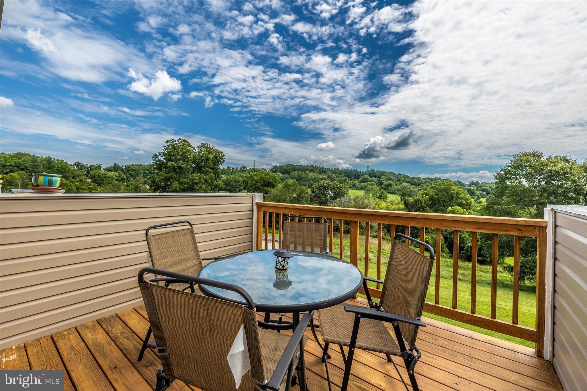 11007 Pleasant Walk Road Myersville, MD 21773 - Photo 19 of 63