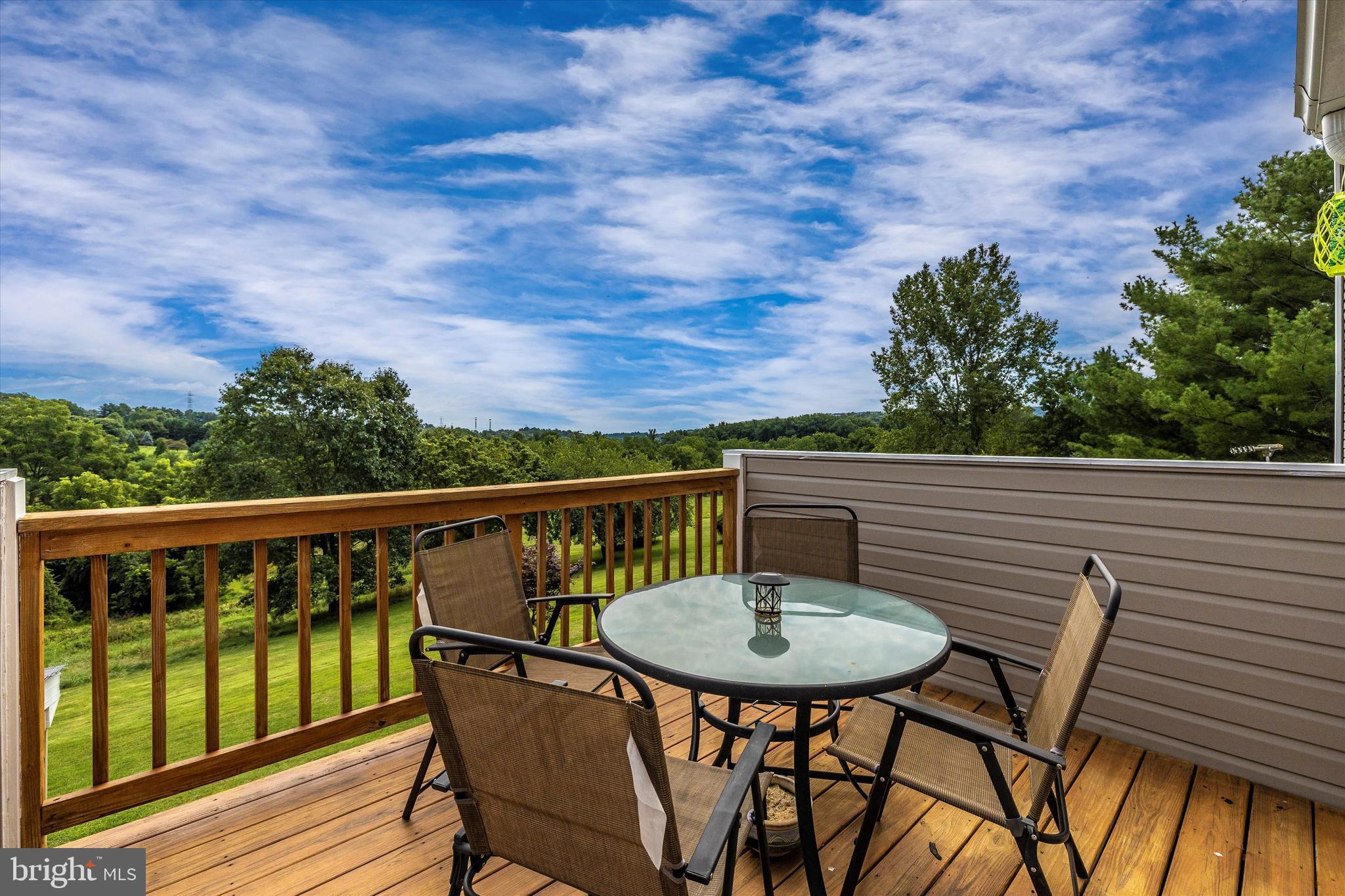 11007 Pleasant Walk Road Myersville, MD 21773 - Photo 20 of 63