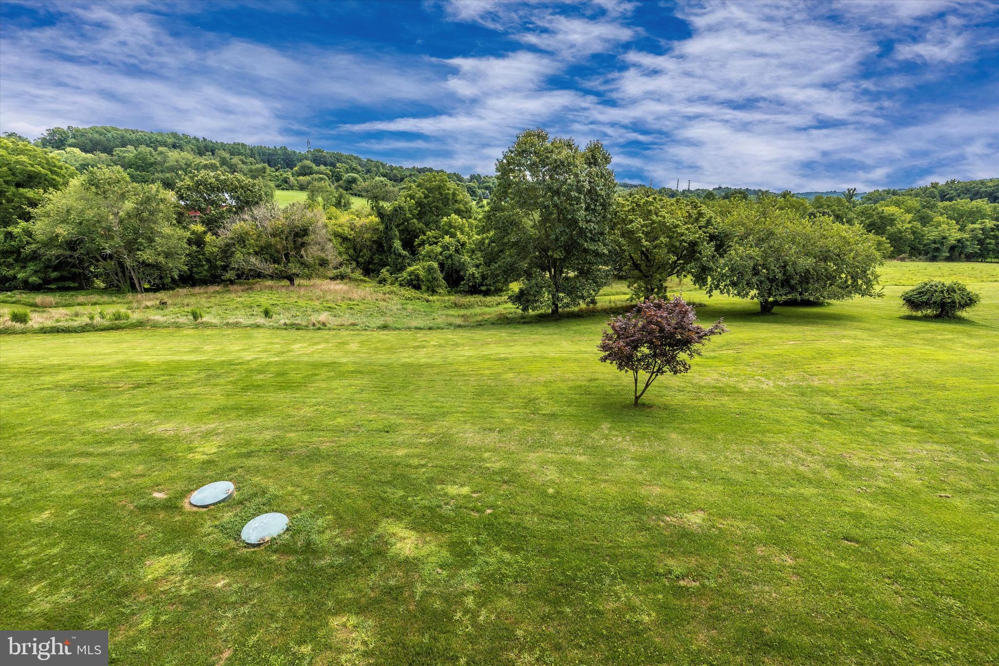 11007 Pleasant Walk Road Myersville, MD 21773 - Photo 21 of 63