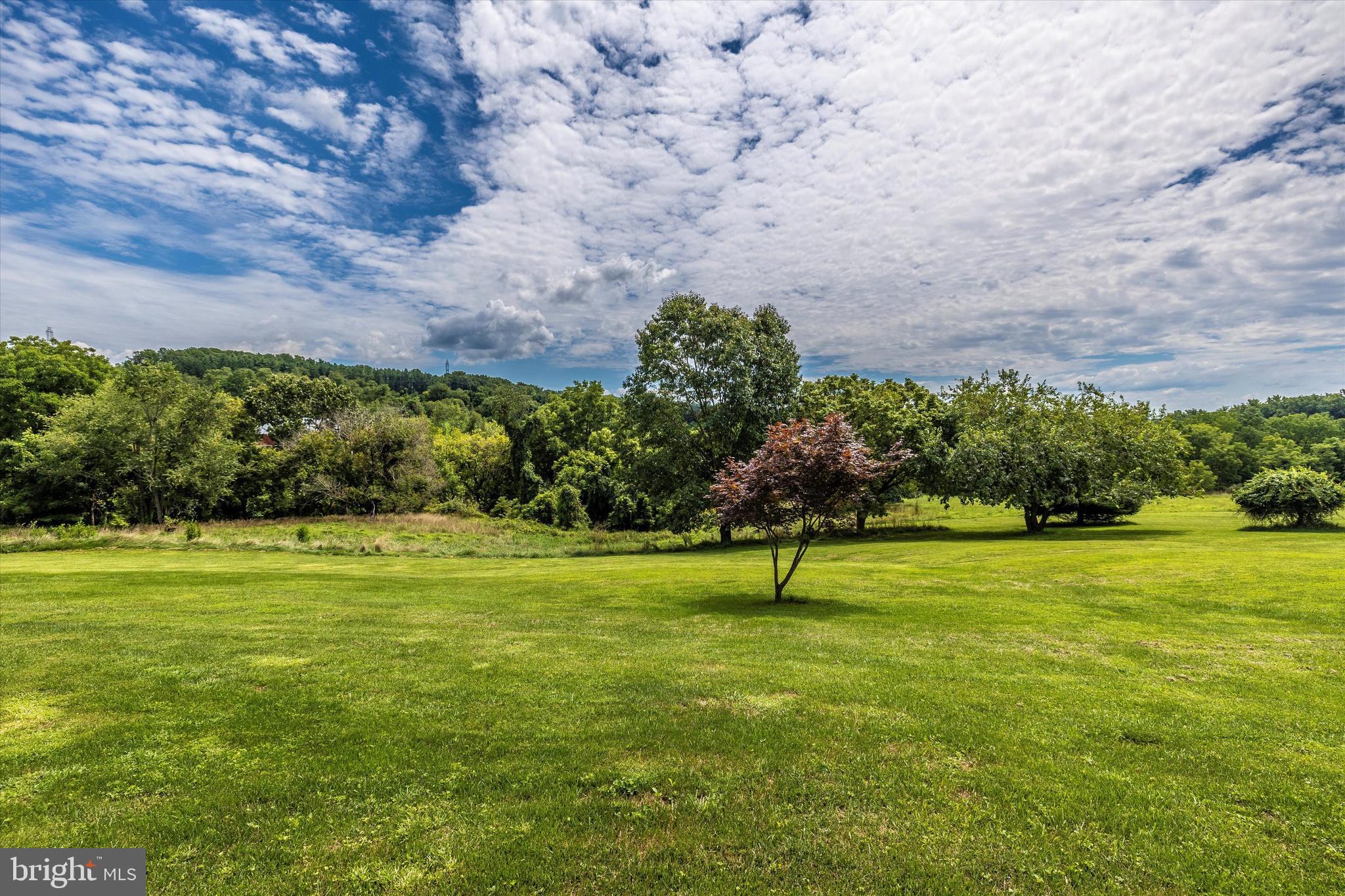 11007 Pleasant Walk Road Myersville, MD 21773 - Photo 5 of 63