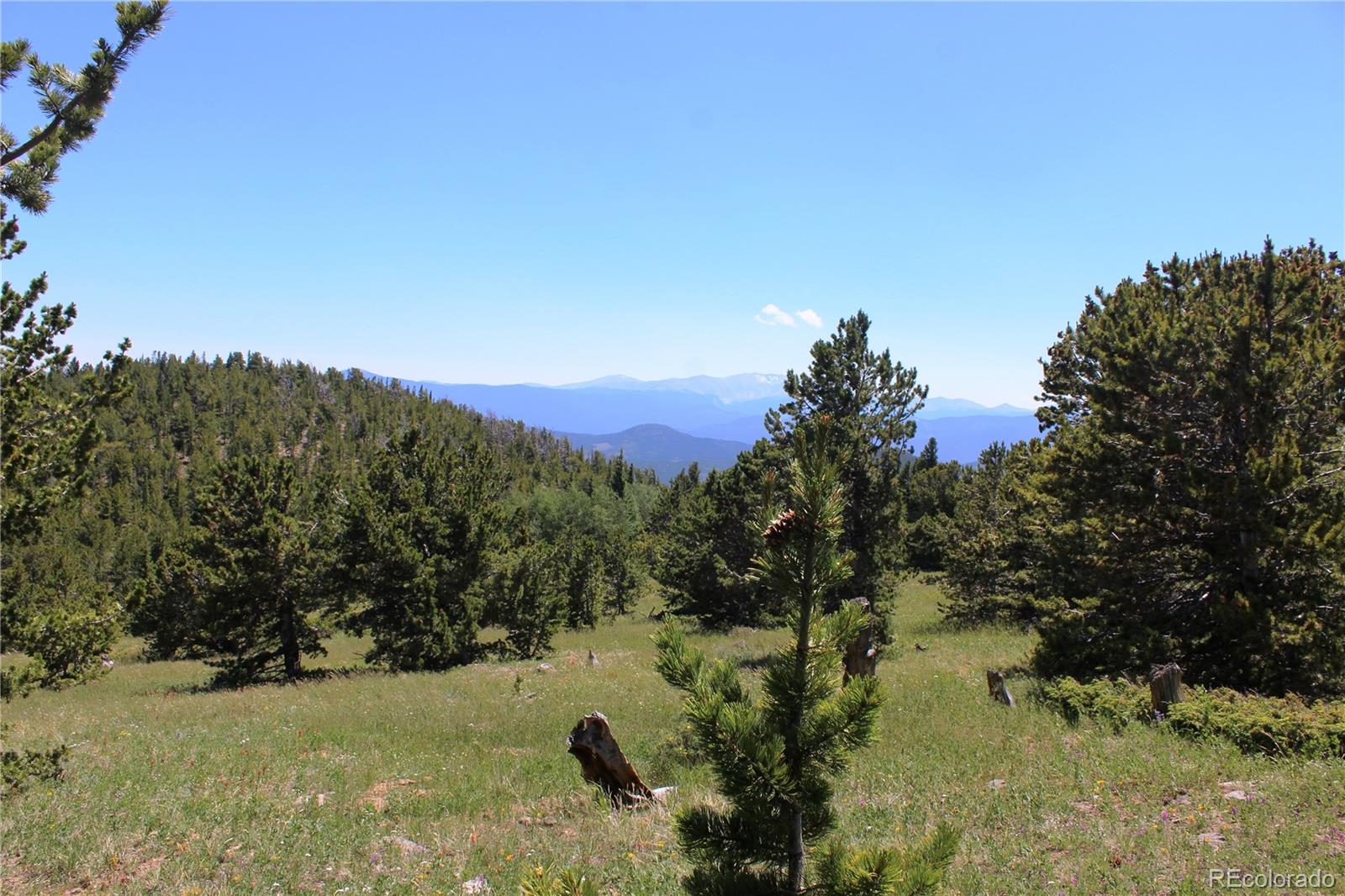1595 Missouri Gulch Road Black Hawk, CO 80422 - Photo 27 of 49