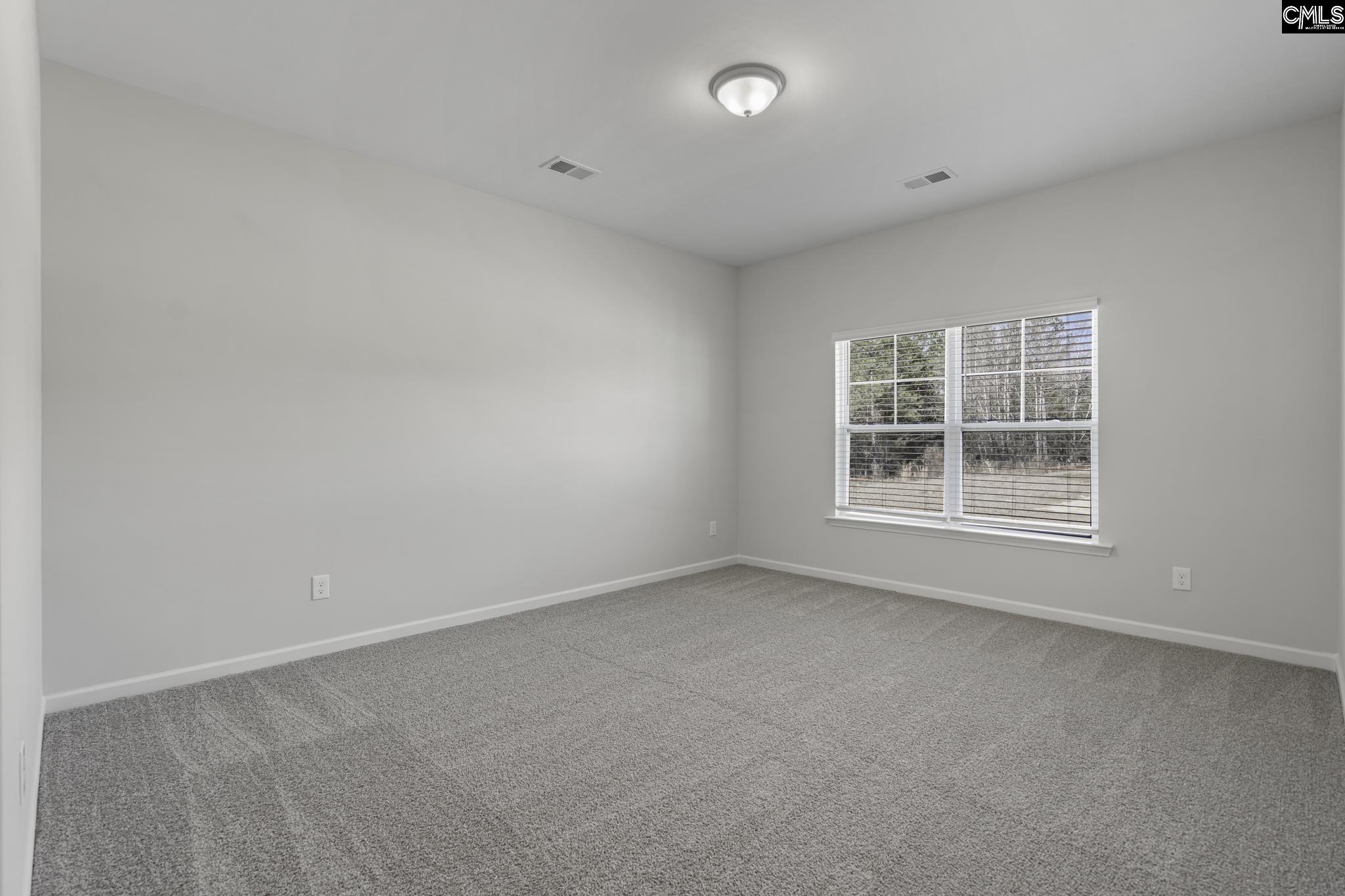 268 Boseman Road Irmo, SC 29063 - Photo 26 of 36