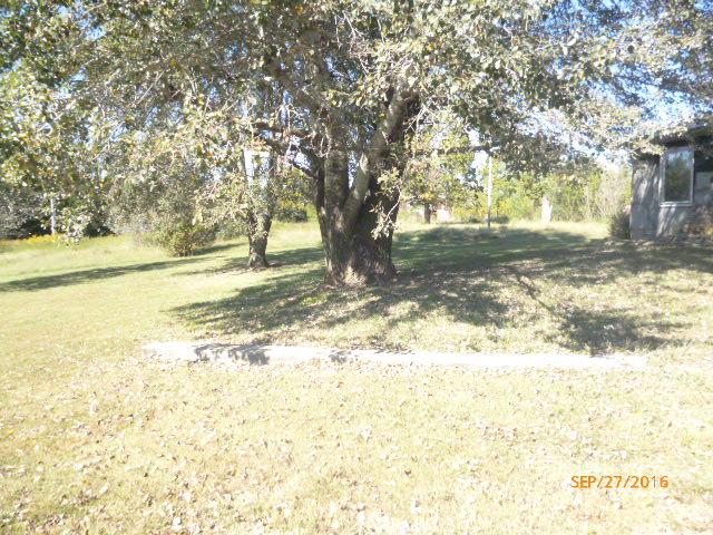 1015 Cheek Road Cumberland Furnace, TN 37051 - Photo 6 of 9 Front yard