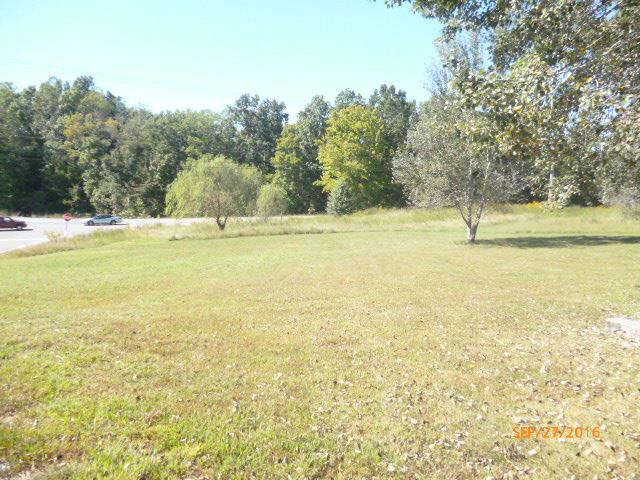 1015 Cheek Road Cumberland Furnace, TN 37051 - Photo 7 of 9 Side yard