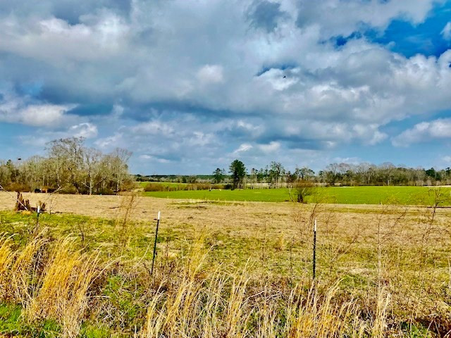 311 Speights Road Carson, MS 39427 - Photo 14 of 43 Photo 14