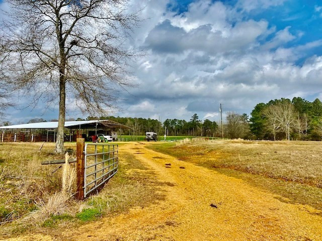311 Speights Road Carson, MS 39427 - Photo 2 of 43 Photo 2
