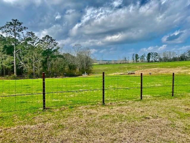 311 Speights Road Carson, MS 39427 - Photo 25 of 43 Photo 25