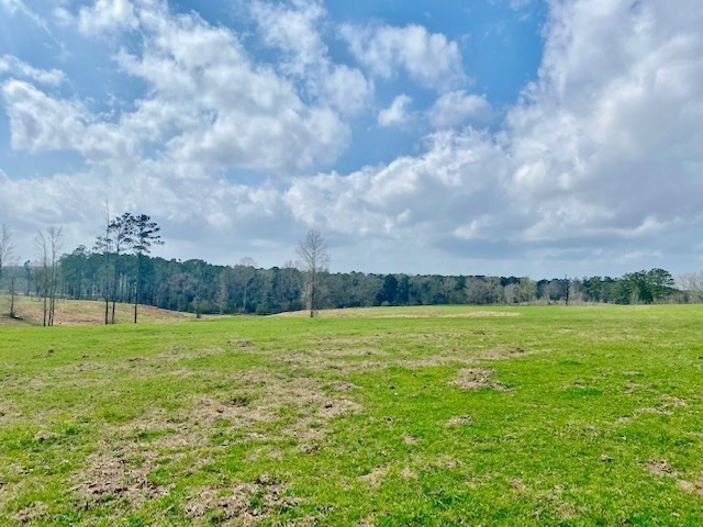 311 Speights Road Carson, MS 39427 - Photo 28 of 43 Photo 28