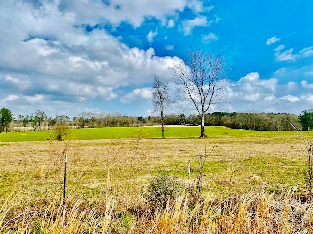 311 Speights Road Carson, MS 39427 - Photo 3 of 43 Photo 3
