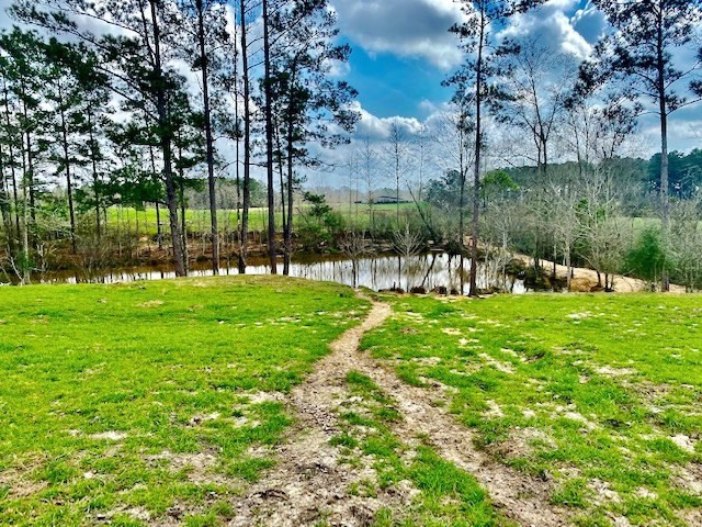 311 Speights Road Carson, MS 39427 - Photo 4 of 43 Photo 4