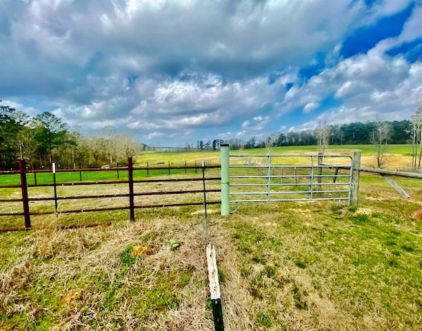 311 Speights Road Carson, MS 39427 - Photo 5 of 43 Photo 5