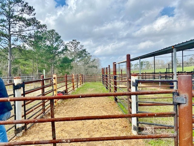 311 Speights Road Carson, MS 39427 - Photo 8 of 43 Photo 8