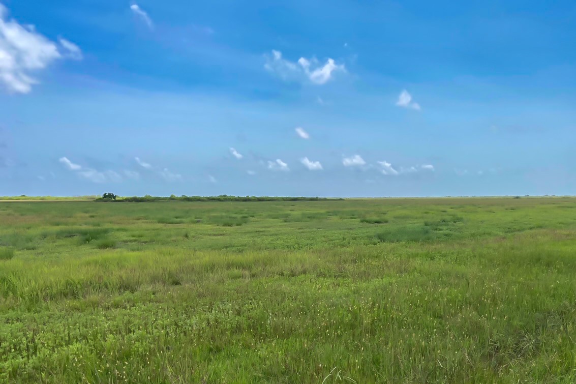 Lot 2 Chambliss Road Sargent, TX 77414 - Photo 3 of 7