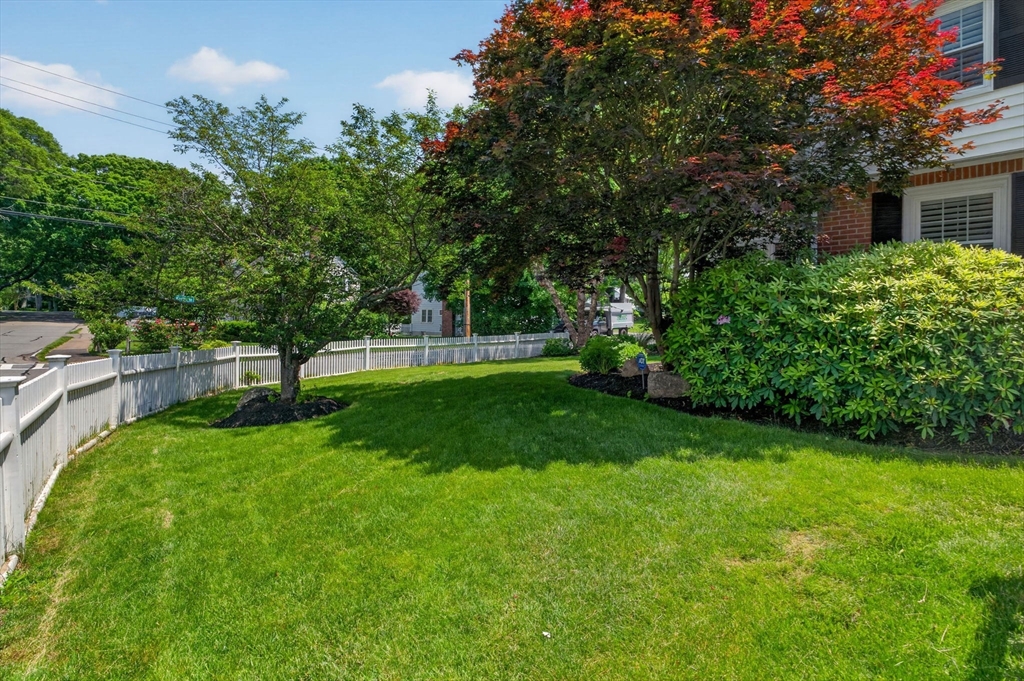 35 Cleveland Road Wellesley, MA 02481 - Photo 16 of 18