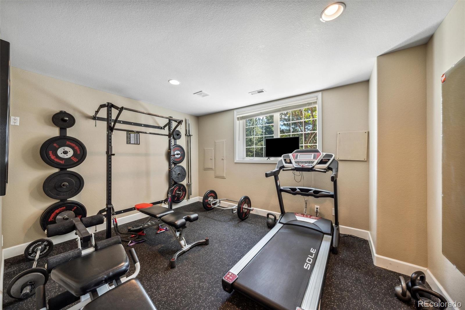 5159 Warbler Court Parker, CO 80134 - Photo 23 of 50 a view of a room with gym equipment