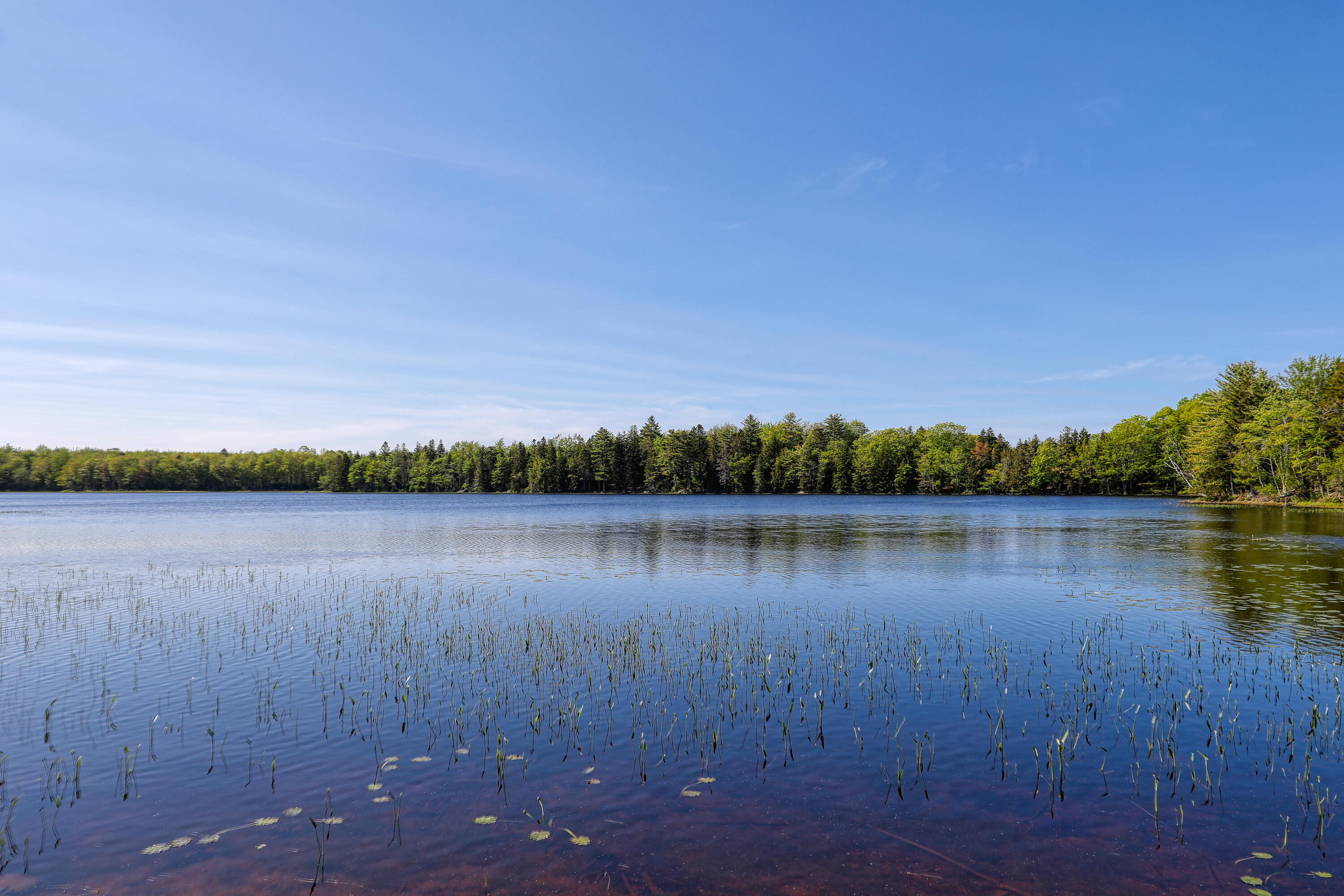 74 Joy Road Gouldsboro, ME 04607 - Photo 28 of 42 20230530-Pond 1