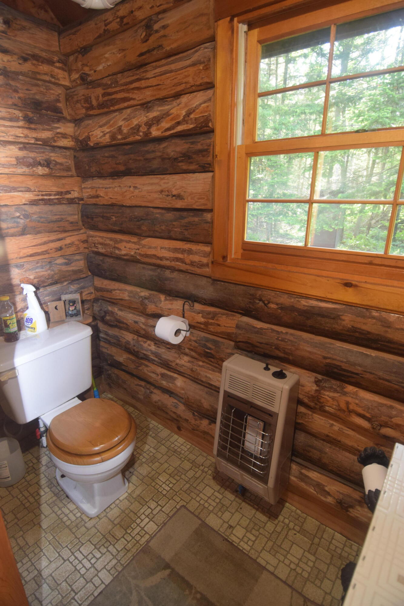 785 Carrying Place Road New Portland, ME 04961 - Photo 18 of 60 DSC_0042