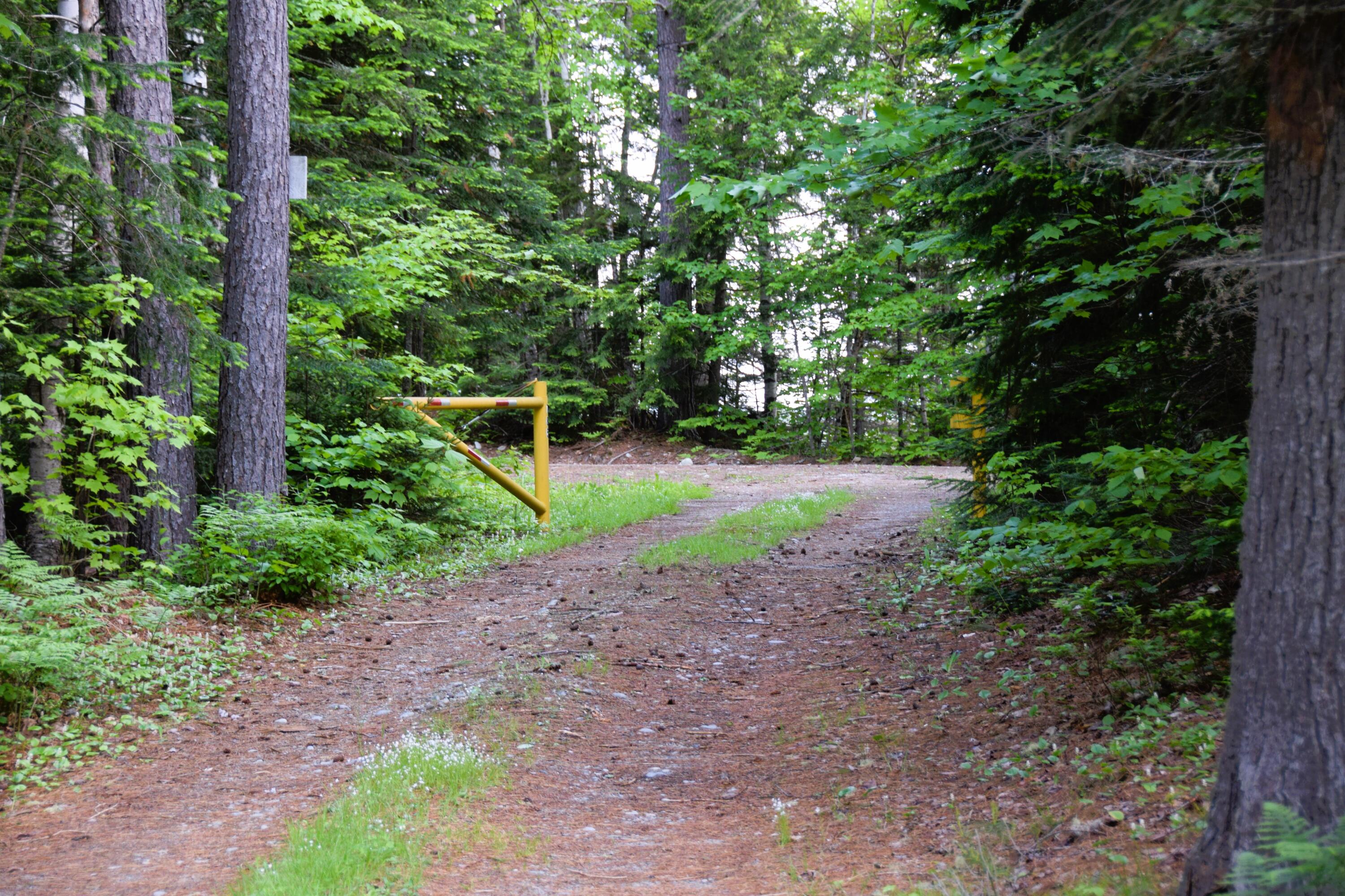 785 Carrying Place Road New Portland, ME 04961 - Photo 28 of 60 DSC_0001