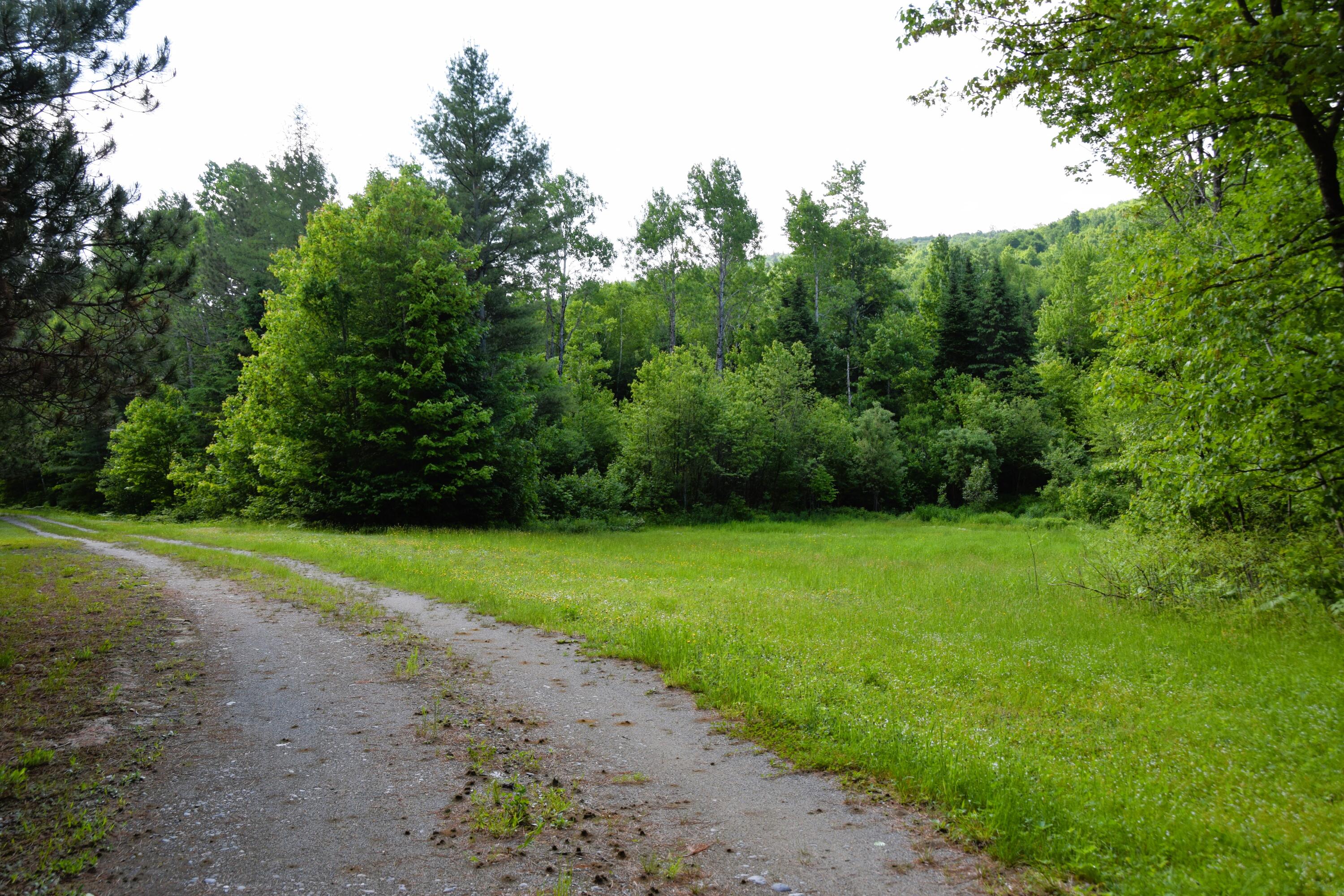 785 Carrying Place Road New Portland, ME 04961 - Photo 29 of 60 DSC_0002