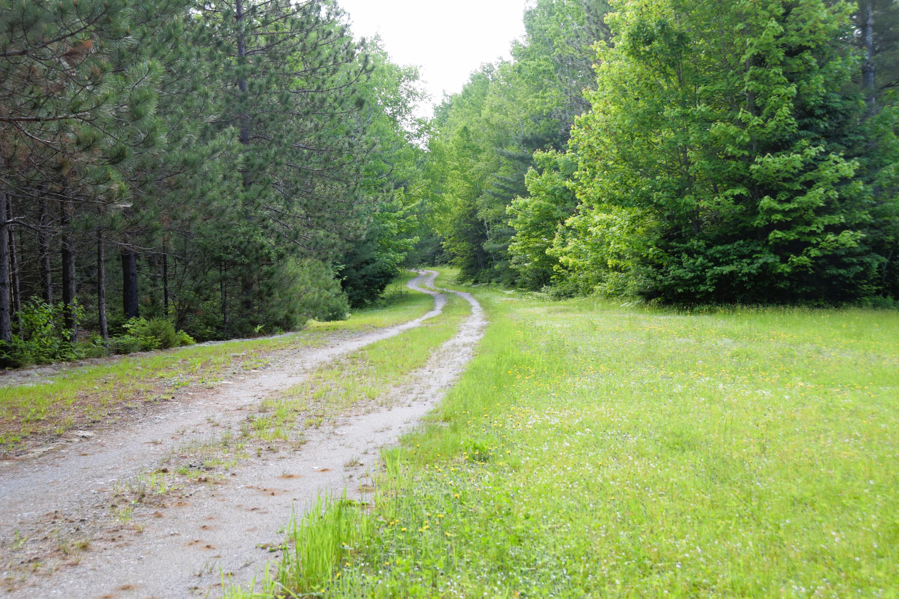 785 Carrying Place Road New Portland, ME 04961 - Photo 30 of 60 DSC_0003