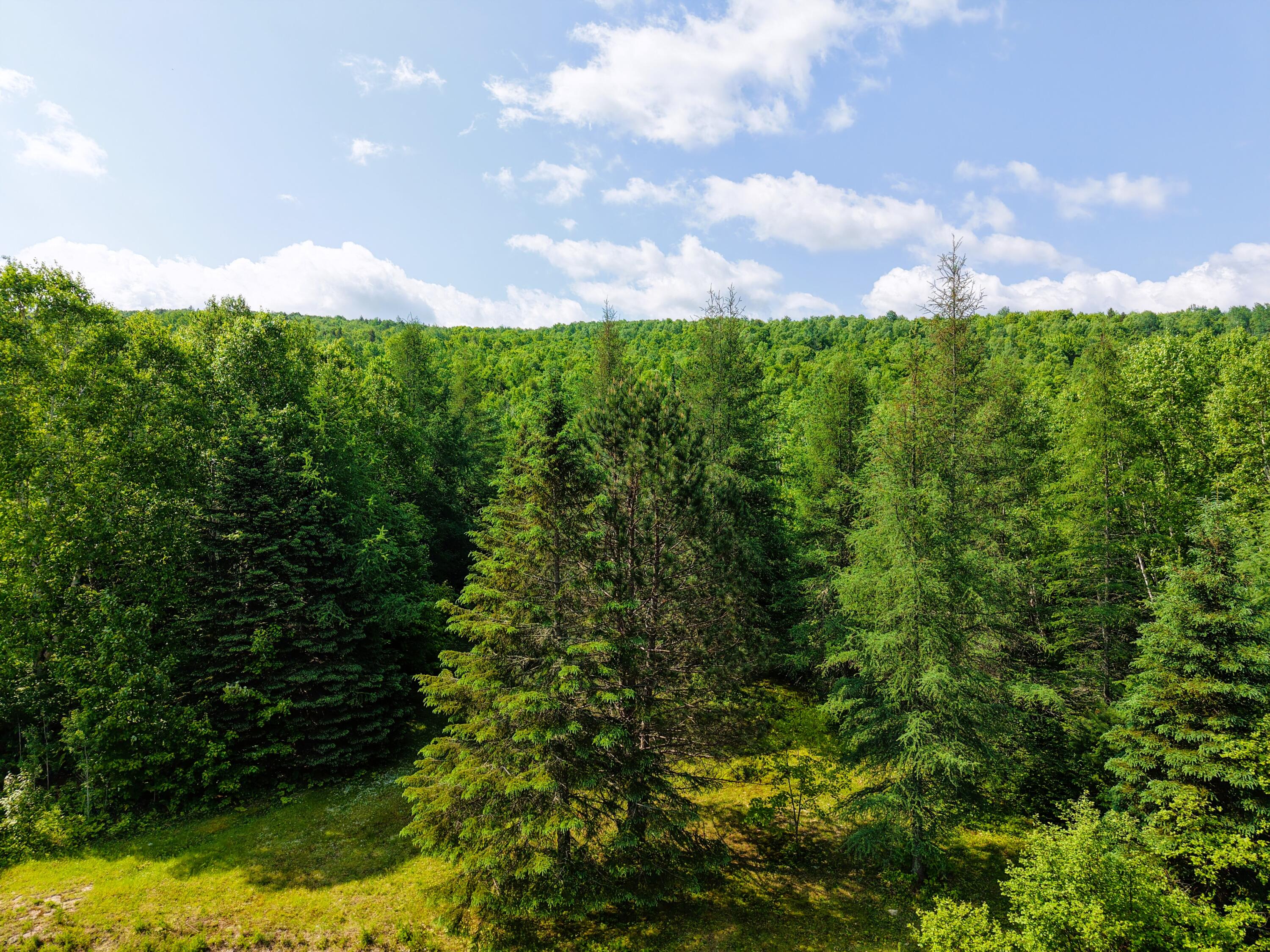 785 Carrying Place Road New Portland, ME 04961 - Photo 50 of 60 DJI_20250611095052_0003_D