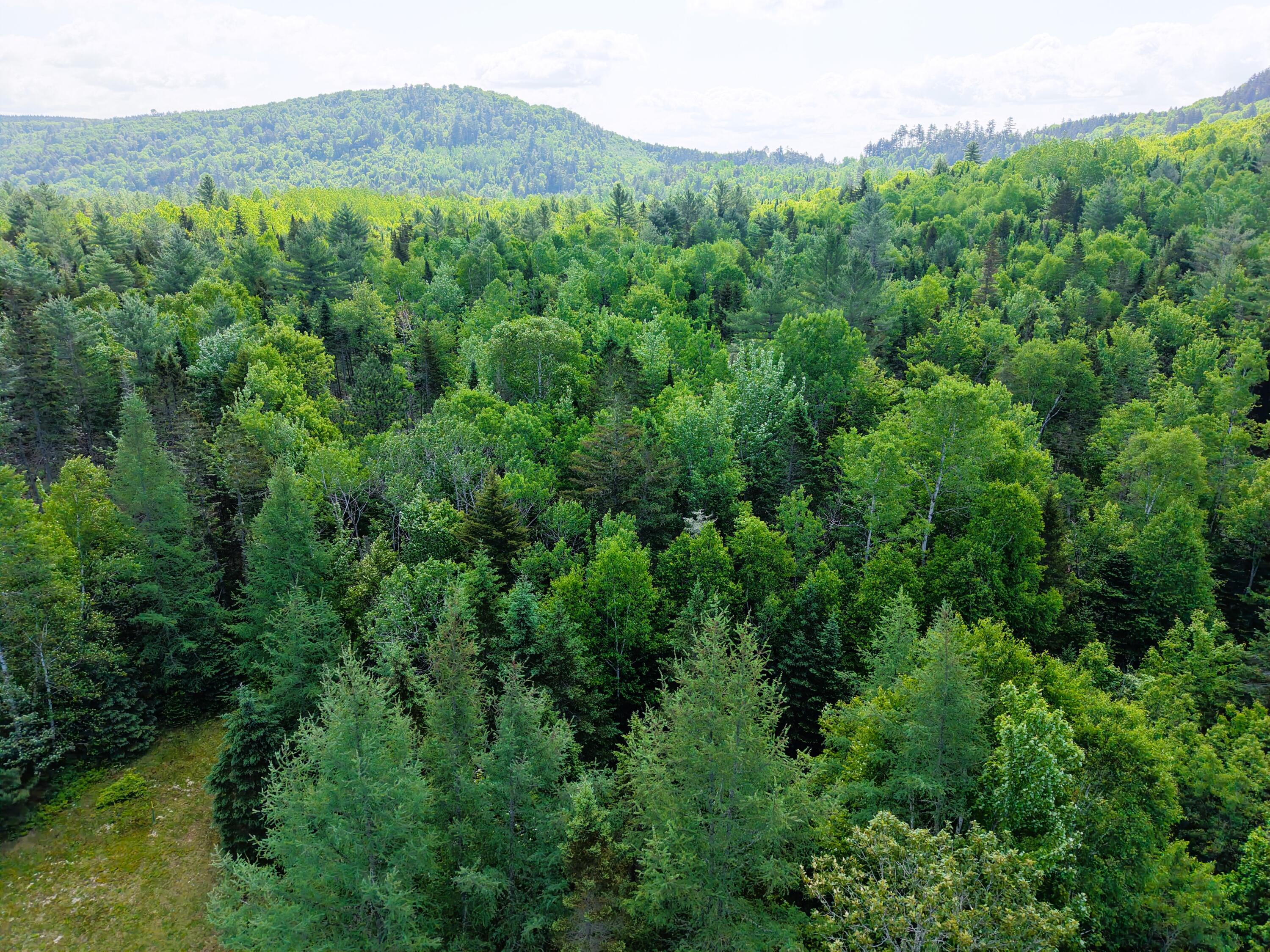 785 Carrying Place Road New Portland, ME 04961 - Photo 51 of 60 DJI_20250611095153_0008_D