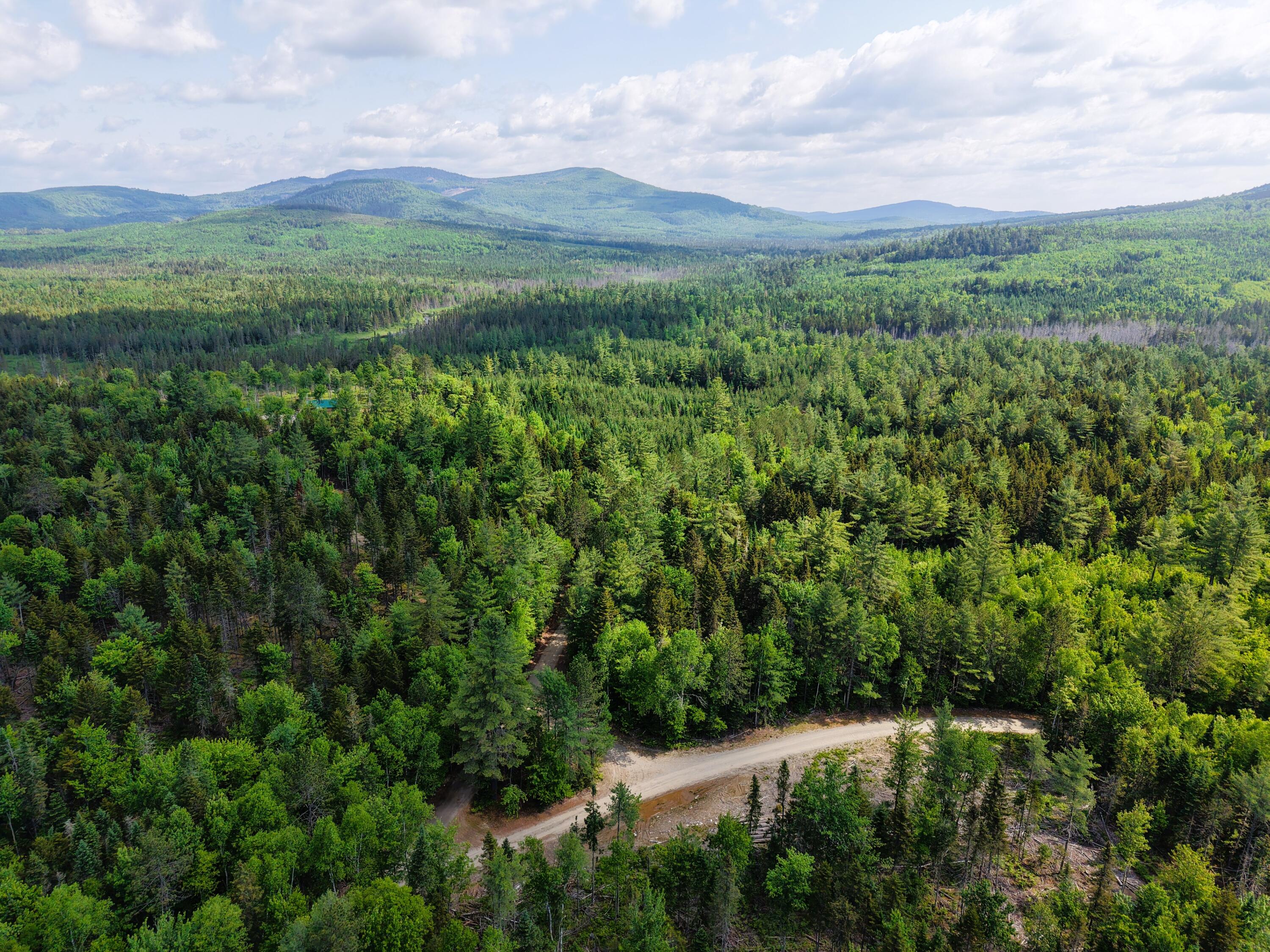 785 Carrying Place Road New Portland, ME 04961 - Photo 52 of 60 DJI_20250611095249_0010_D