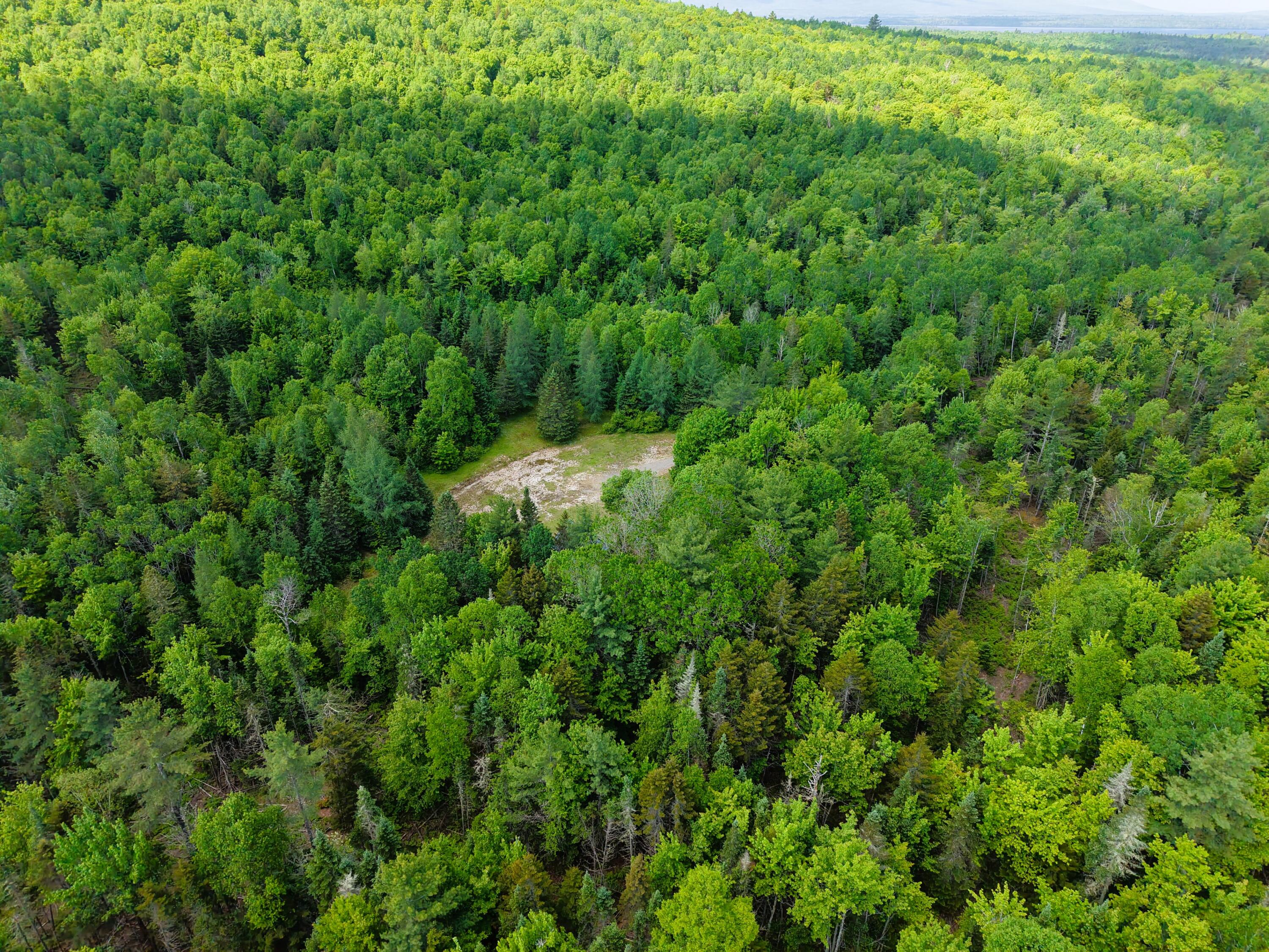 785 Carrying Place Road New Portland, ME 04961 - Photo 53 of 60 DJI_20250611095303_0011_D