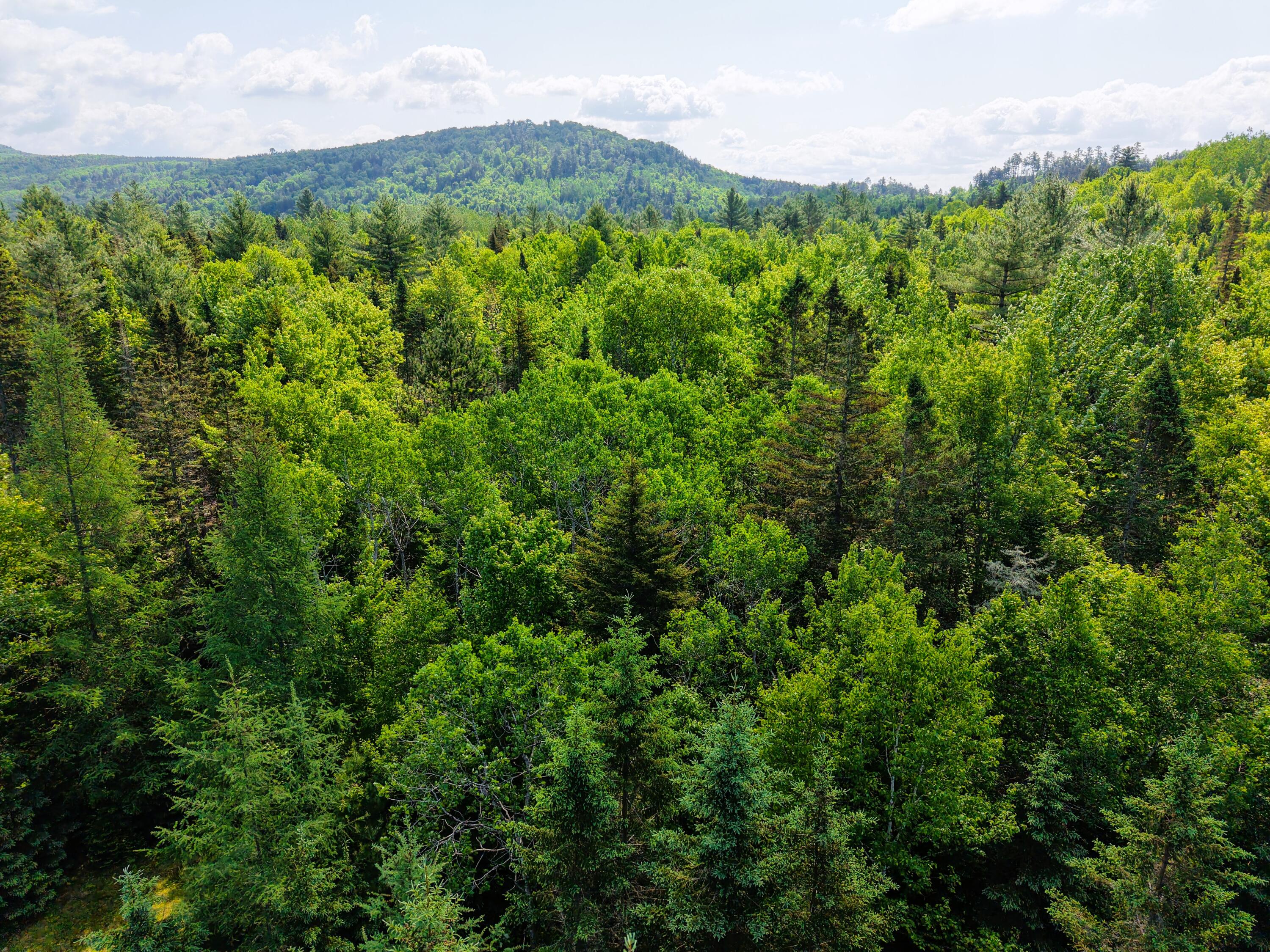 785 Carrying Place Road New Portland, ME 04961 - Photo 54 of 60 DJI_20250611095500_0015_D