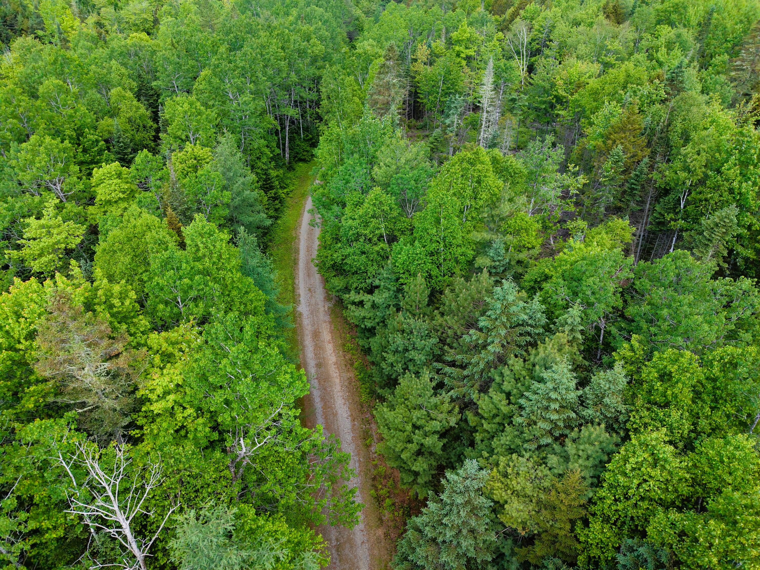 785 Carrying Place Road New Portland, ME 04961 - Photo 55 of 60 DJI_20250611095626_0019_D