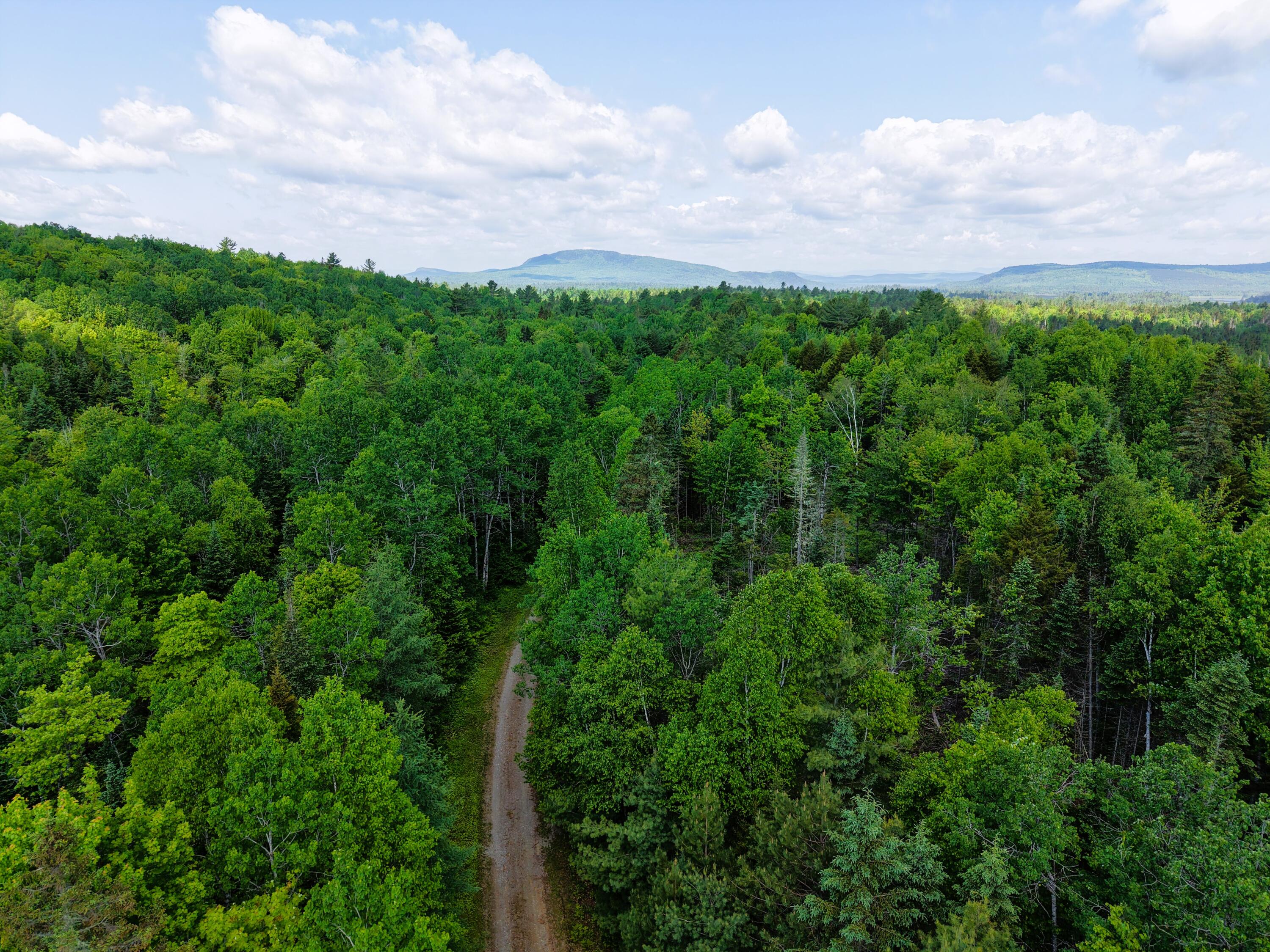 785 Carrying Place Road New Portland, ME 04961 - Photo 56 of 60 DJI_20250611095630_0020_D