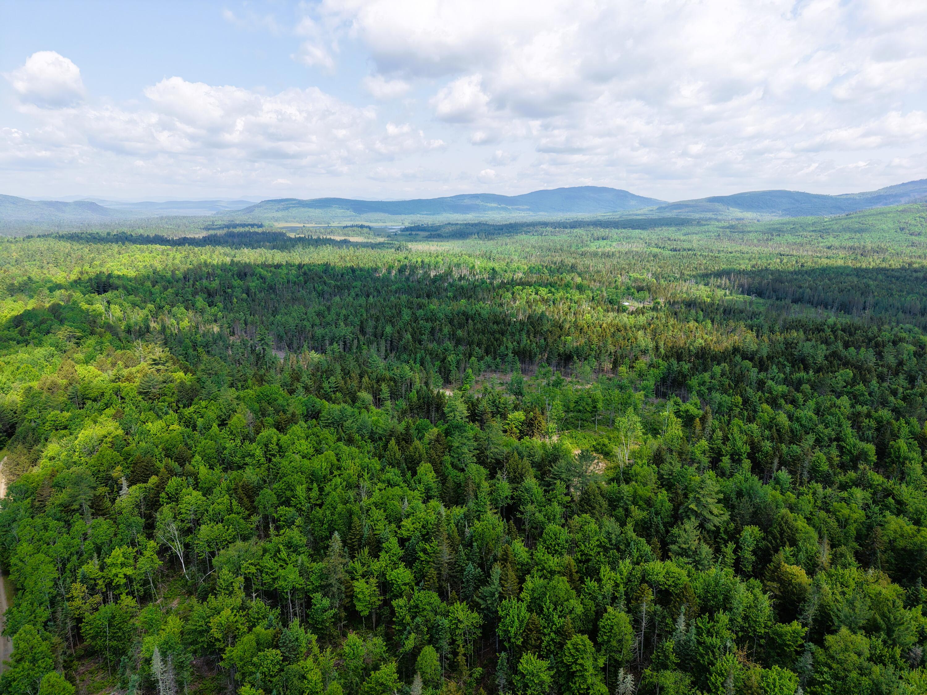 785 Carrying Place Road New Portland, ME 04961 - Photo 58 of 60 DJI_20250611095716_0022_D