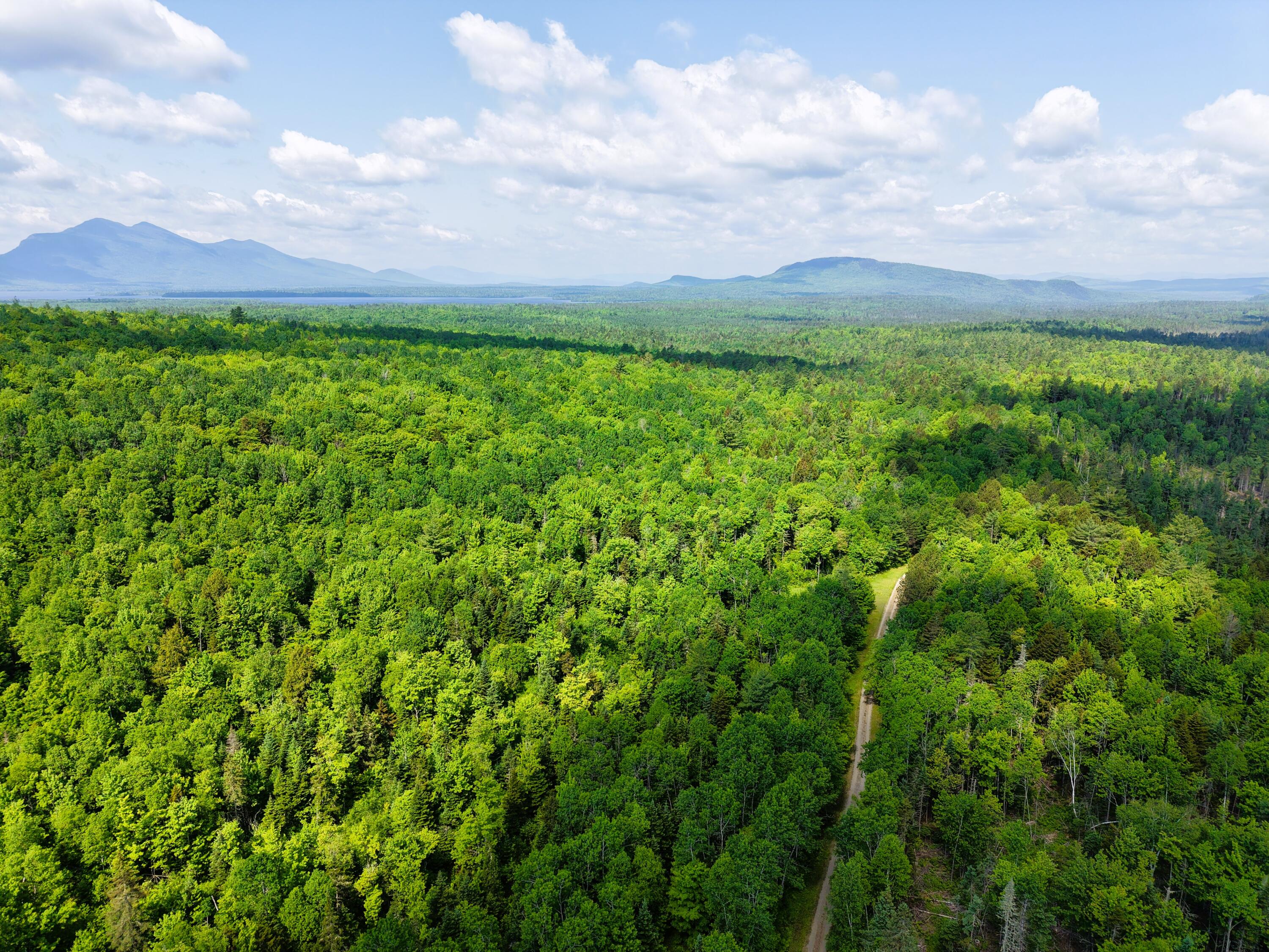 785 Carrying Place Road New Portland, ME 04961 - Photo 59 of 60 DJI_20250611095721_0023_D