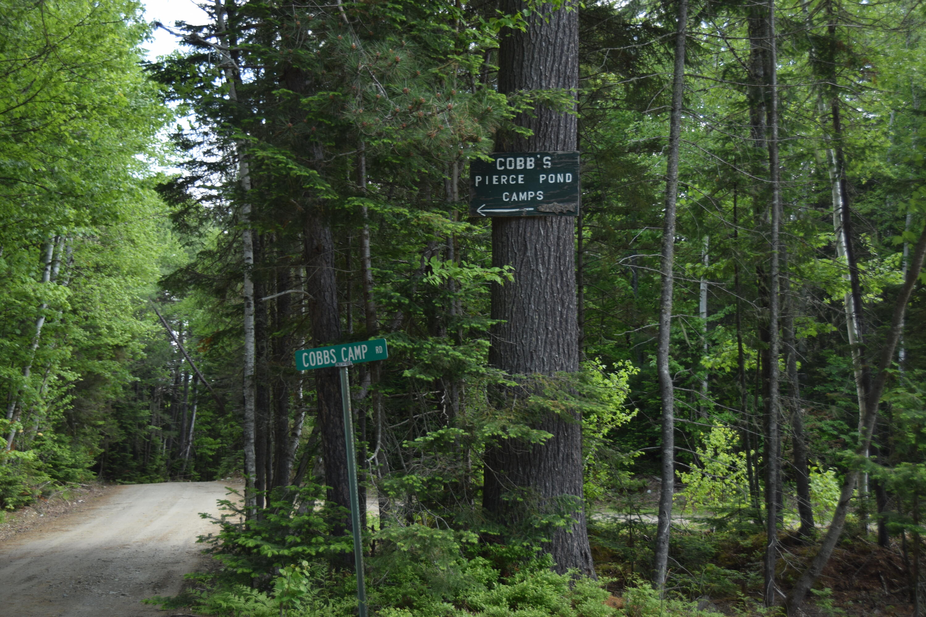 785 Carrying Place Road New Portland, ME 04961 - Photo 60 of 60 DSC_0051