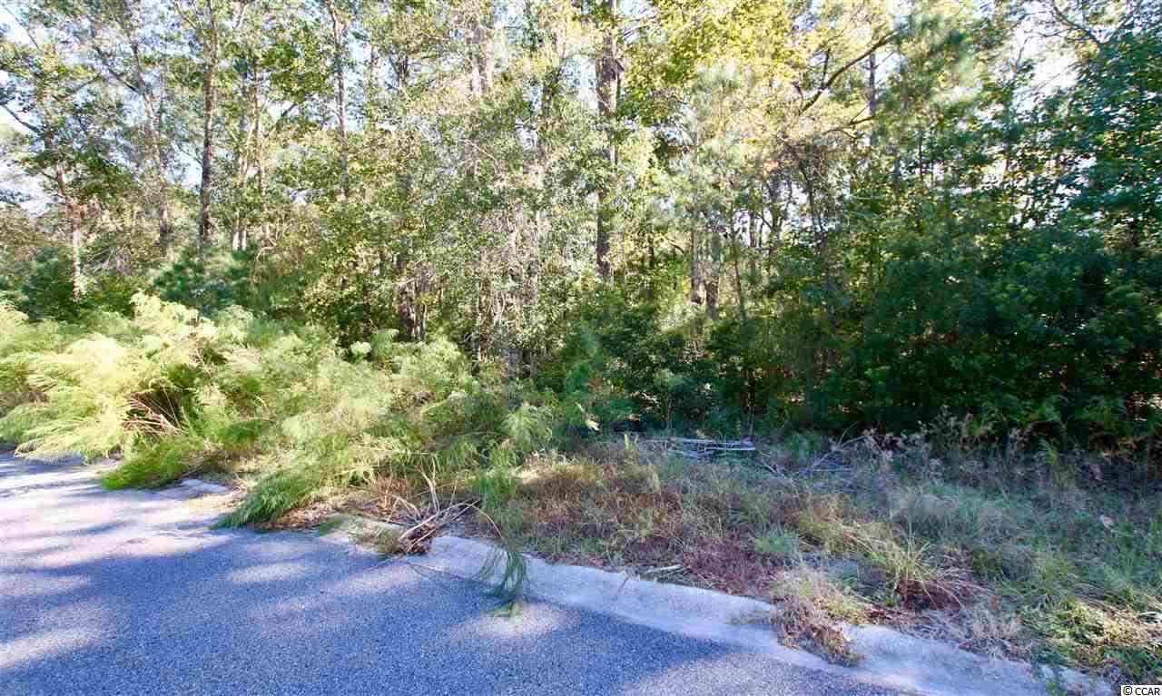 631 Fox Hollow Road Murrells Inlet, SC 29576 - Photo 3 of 5 Gallery Image 3