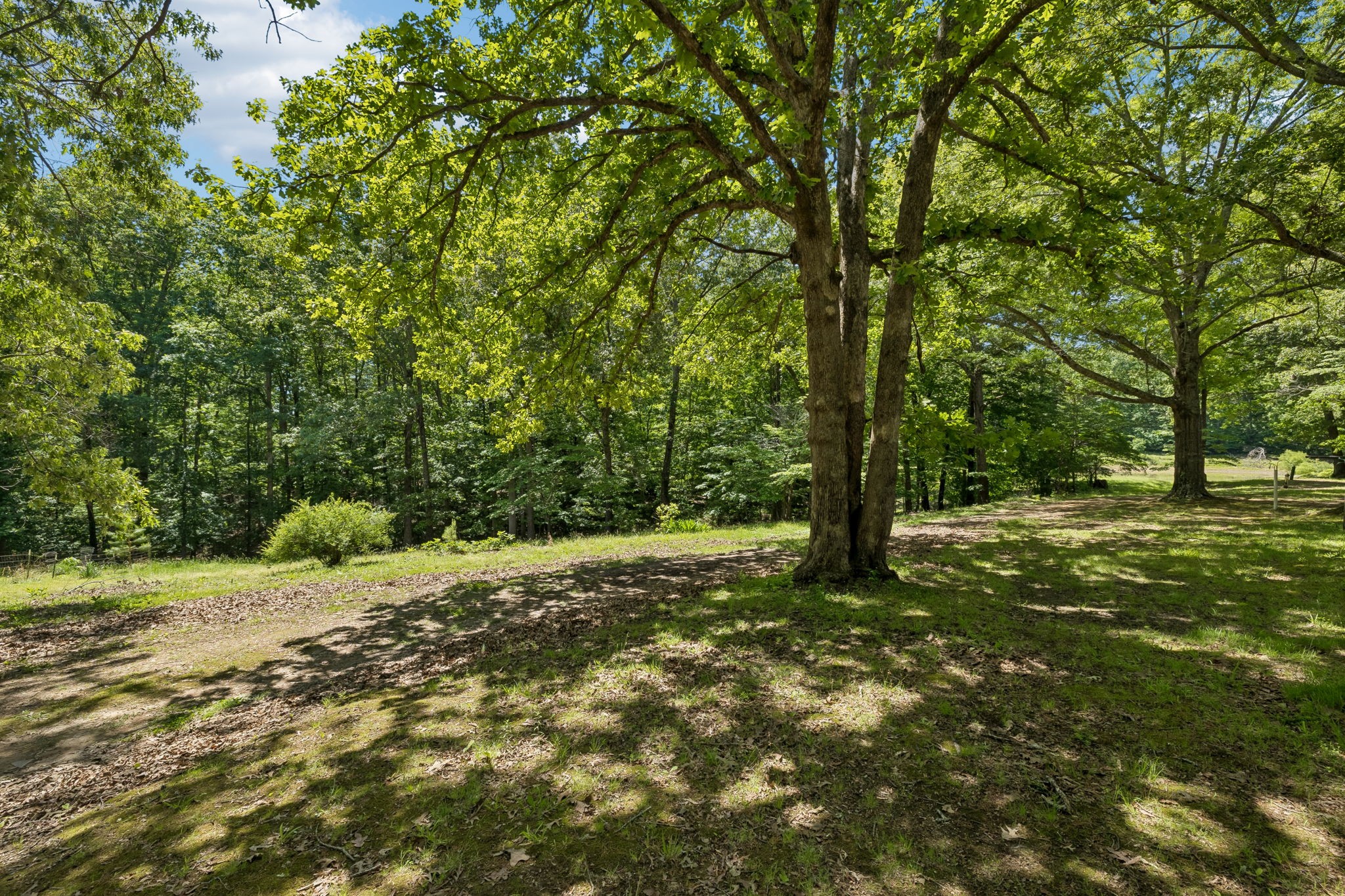 467 Sandy Road Dover, TN 37058 - Photo 51 of 61