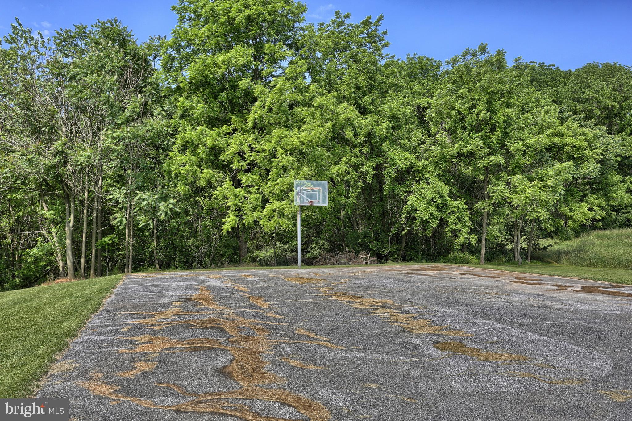 1500 Schaeffer Road Newmanstown, PA 17073 - Photo 76 of 97 Basketball Court