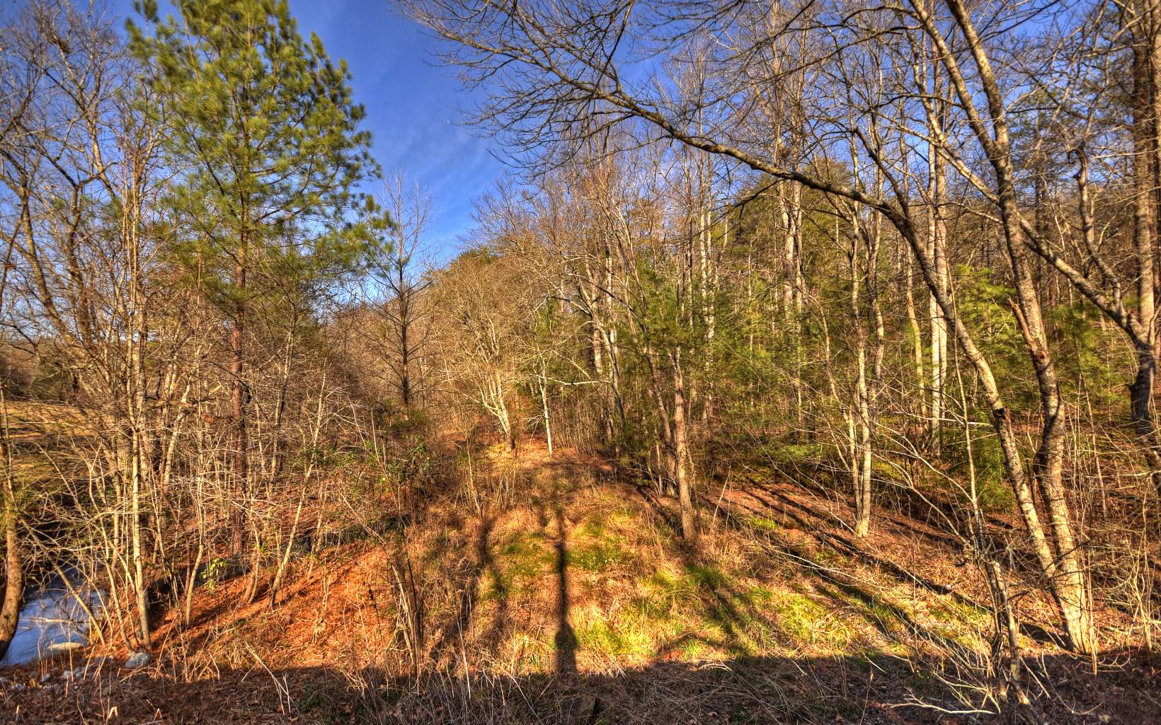 29 Dallas Lane Blue Ridge, GA 30513 - Photo 1 of 1 a backyard of a house