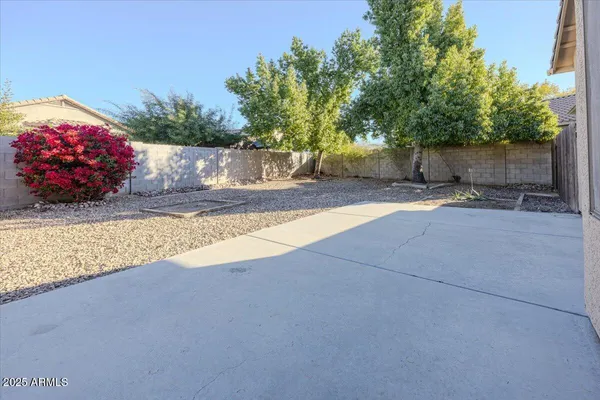 a view of a backyard