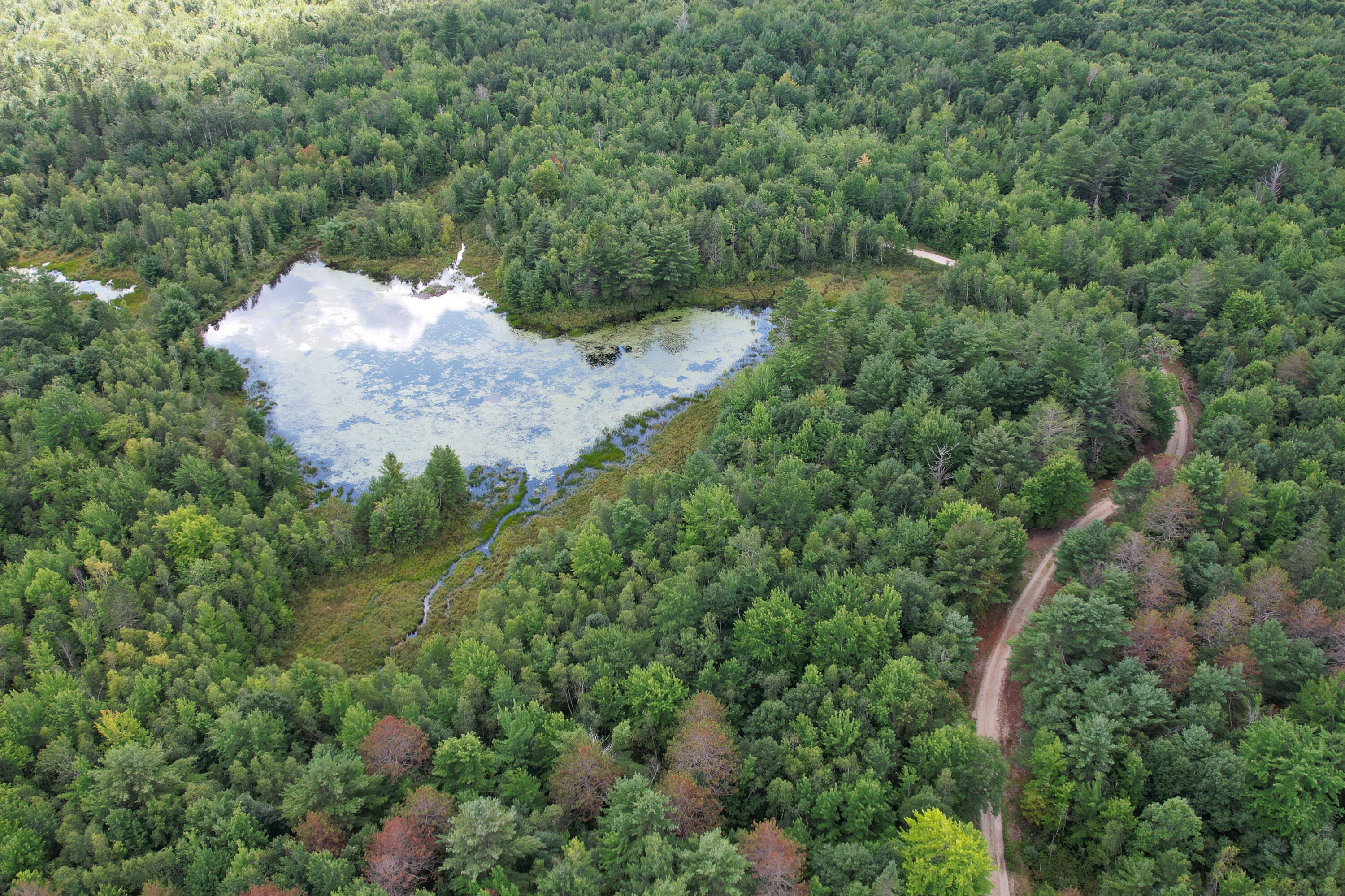 Lot 46 Lane Road Cherryfield, ME 04622 - Photo 4 of 20 Aerial view