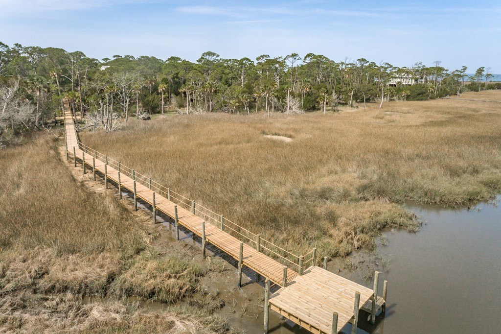 1909 Indian Harbor Road St. George Island, FL 32328 - Photo 3 of 10