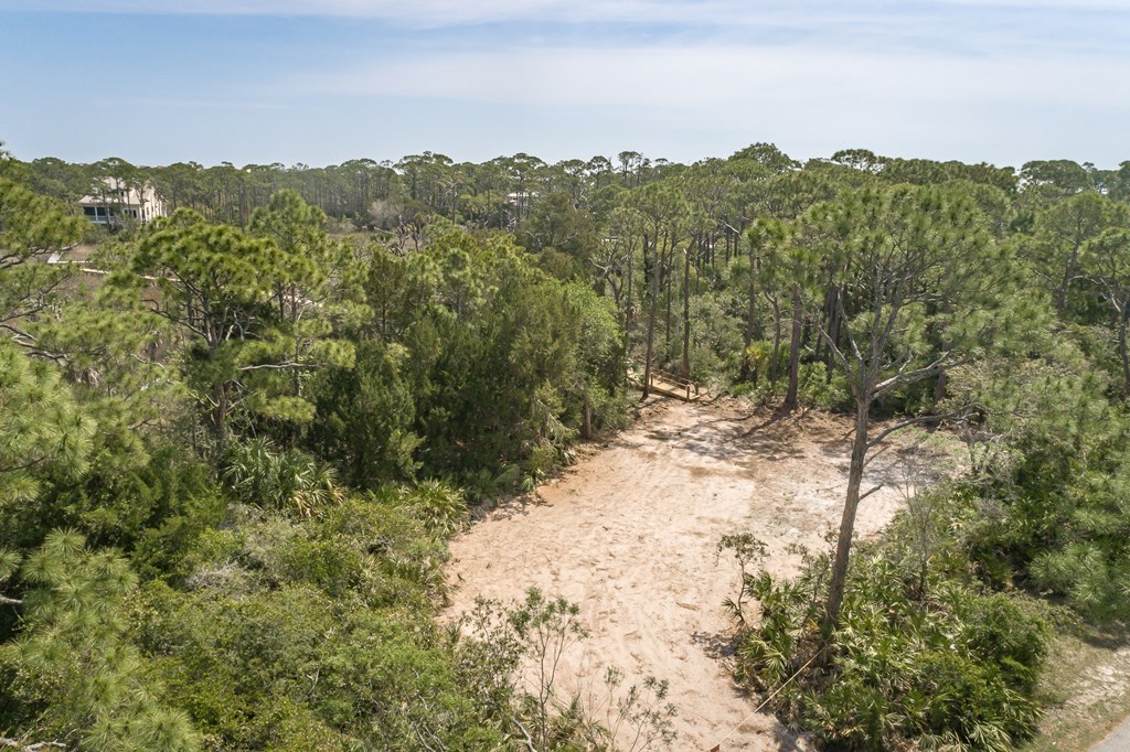 1909 Indian Harbor Road St. George Island, FL 32328 - Photo 8 of 10