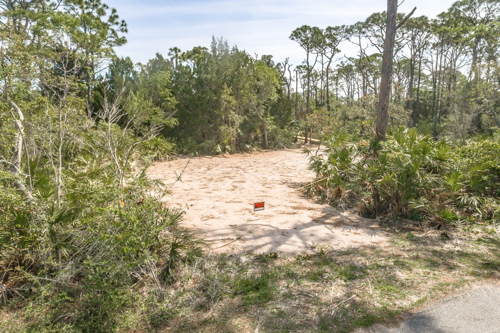 1909 Indian Harbor Road St. George Island, FL 32328 - Photo 9 of 10