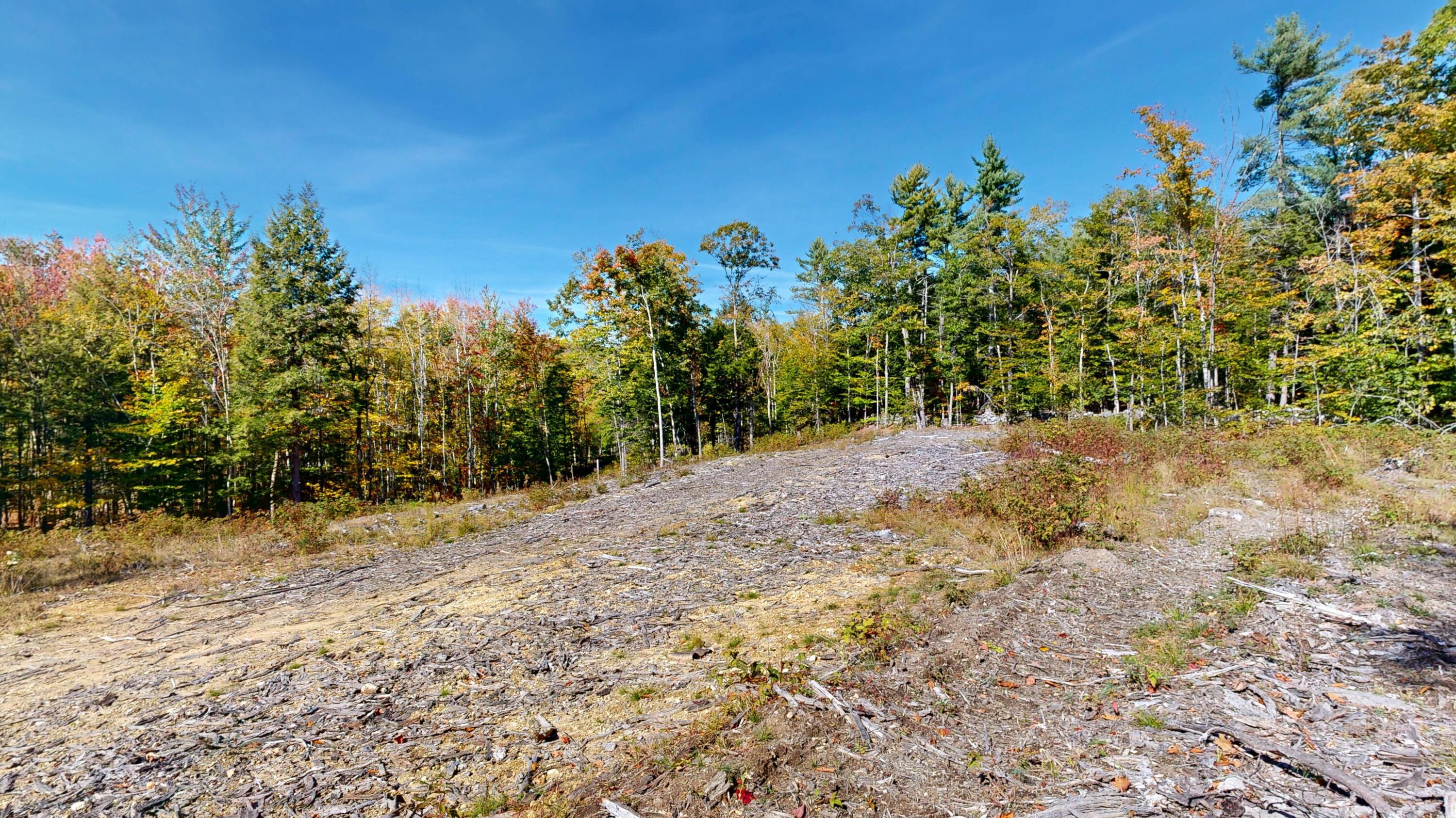 Lot 21 B Station Road Hebron, ME 04238 - Photo 4 of 7 Land View