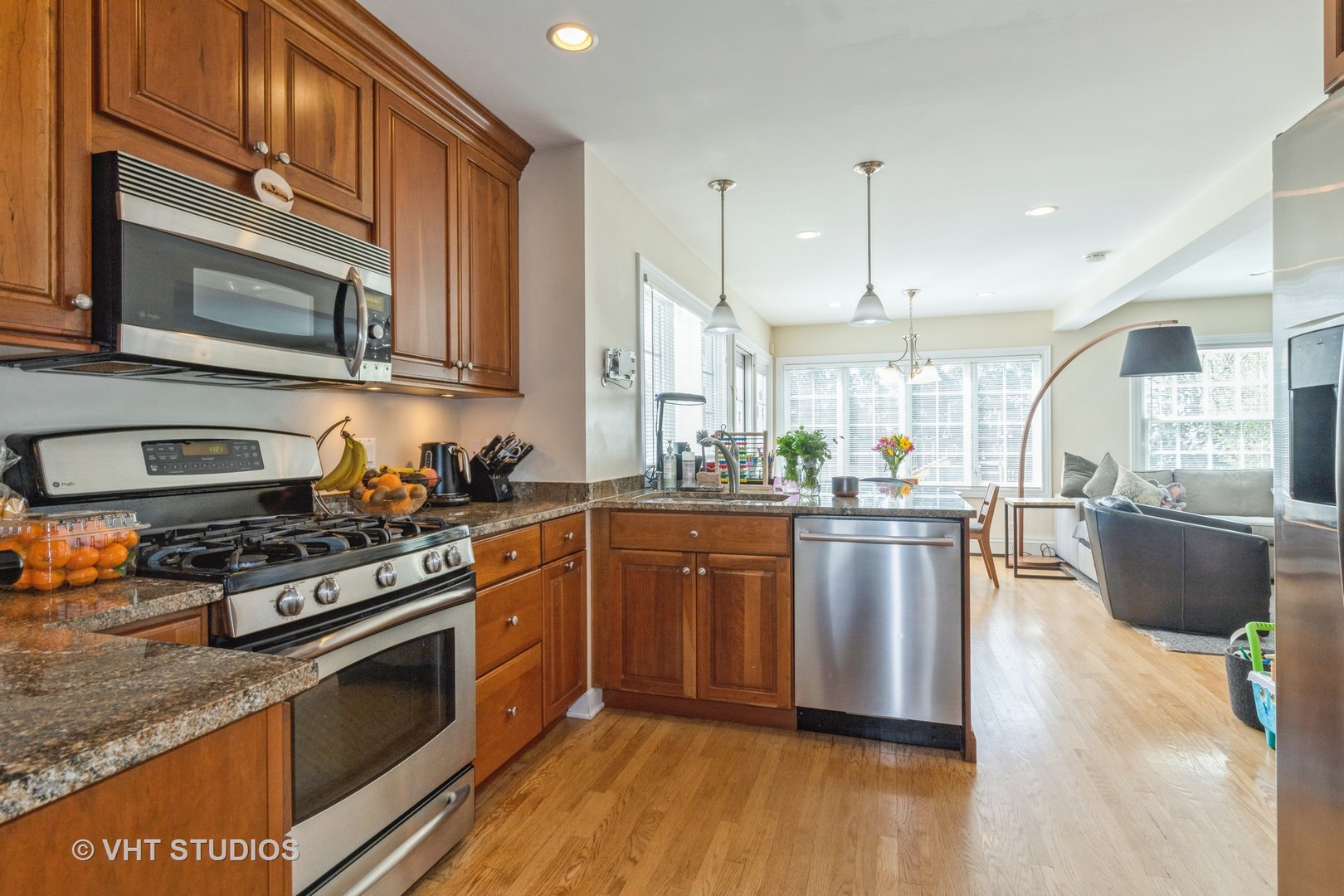 929 St James Place Park Ridge, IL 60068 - Photo 4 of 18