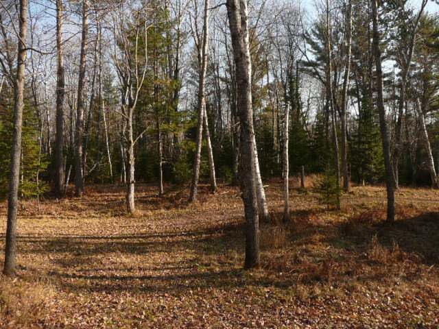 3391 North Carpenter Lake Road Eagle River, WI 54521 - Photo 20 of 20 Gallery Image 20