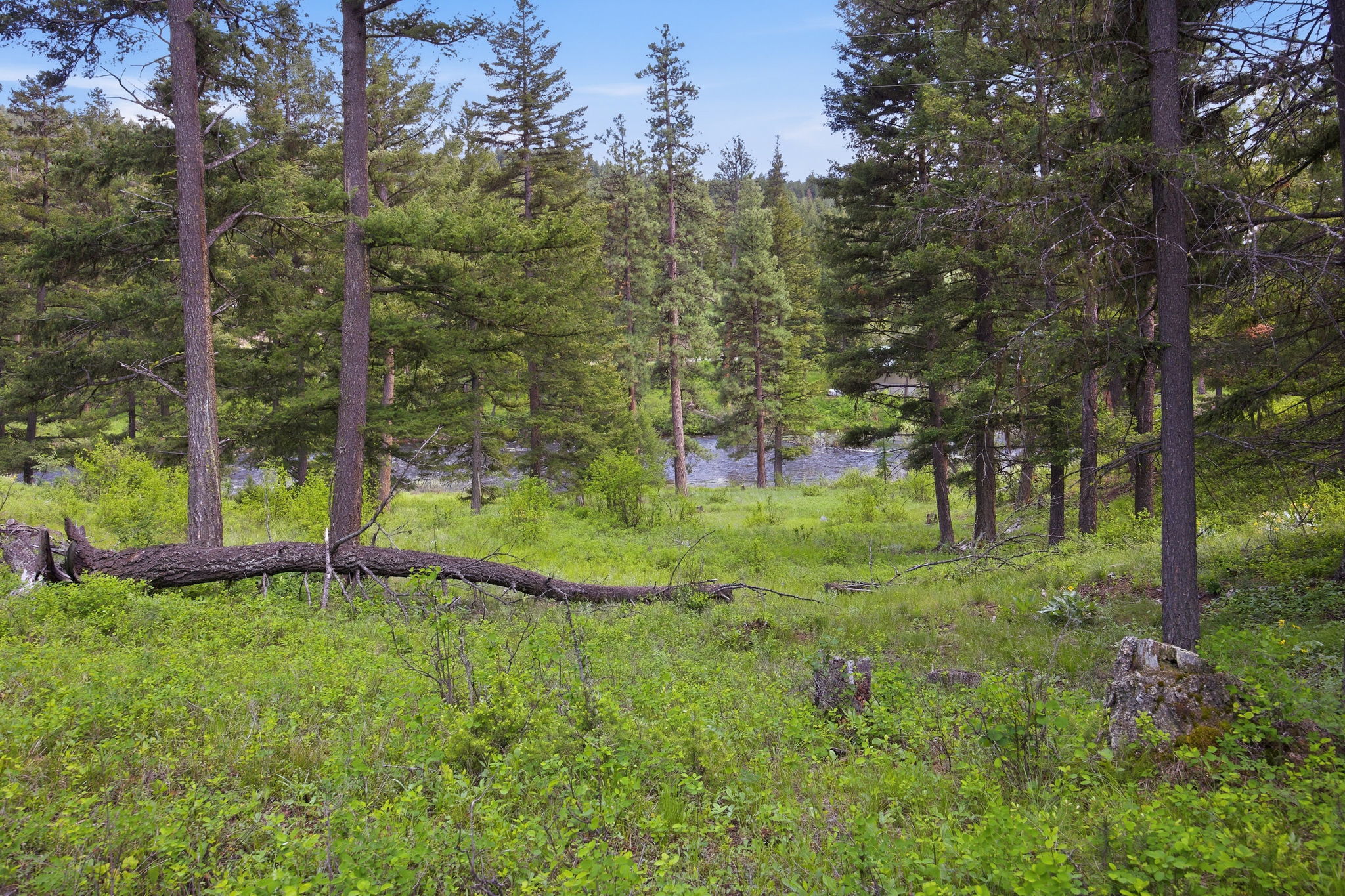 2 Big Waters Ranch Seeley Lake, MT 59868 - Photo 14 of 33 Gallery Image 14