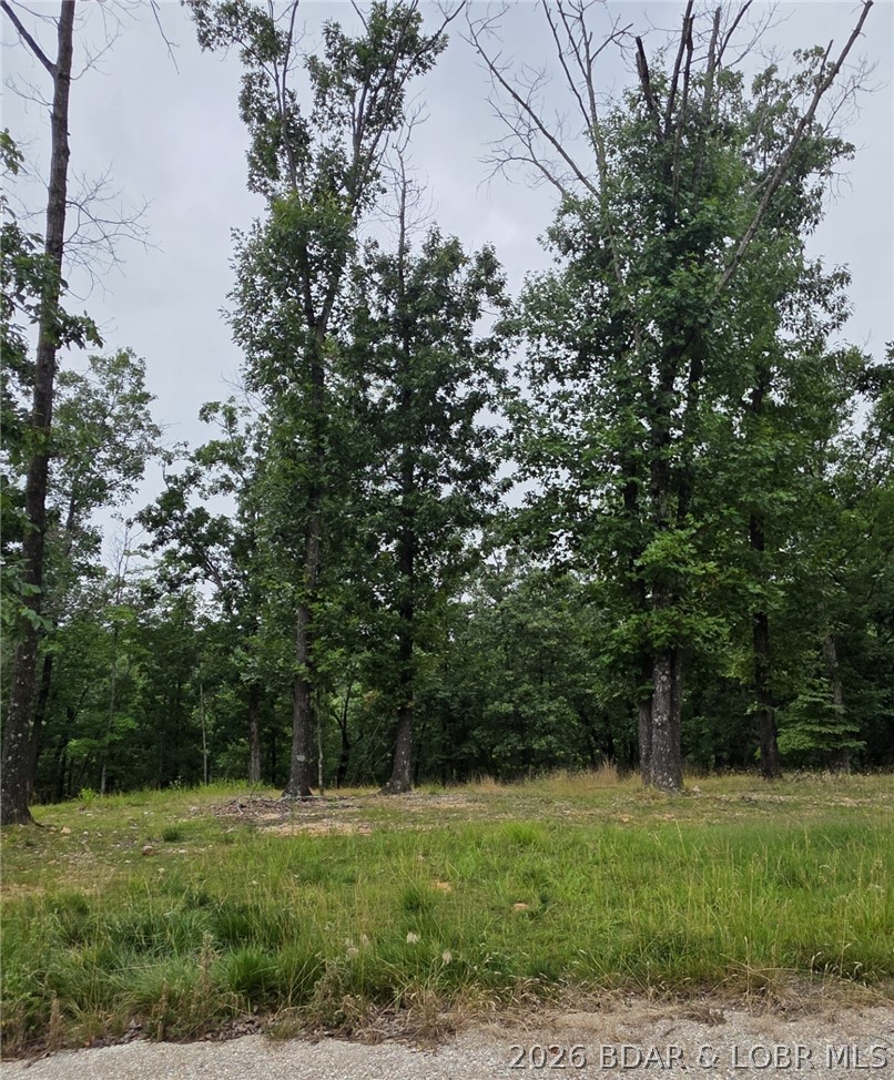 Lot 102 Terry Rd Lake Lake Ozark, MO 65049 - Photo 5 of 16