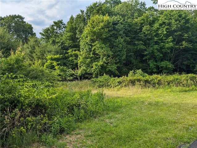 $18,000 | Lot 13 Briarwood Lane, Sparta, NC 28675