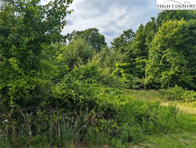 $18,000 | Lot 13 Briarwood Lane, Sparta, NC 28675